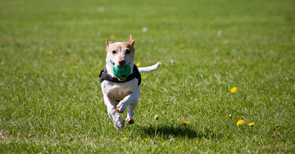 Running with Ball